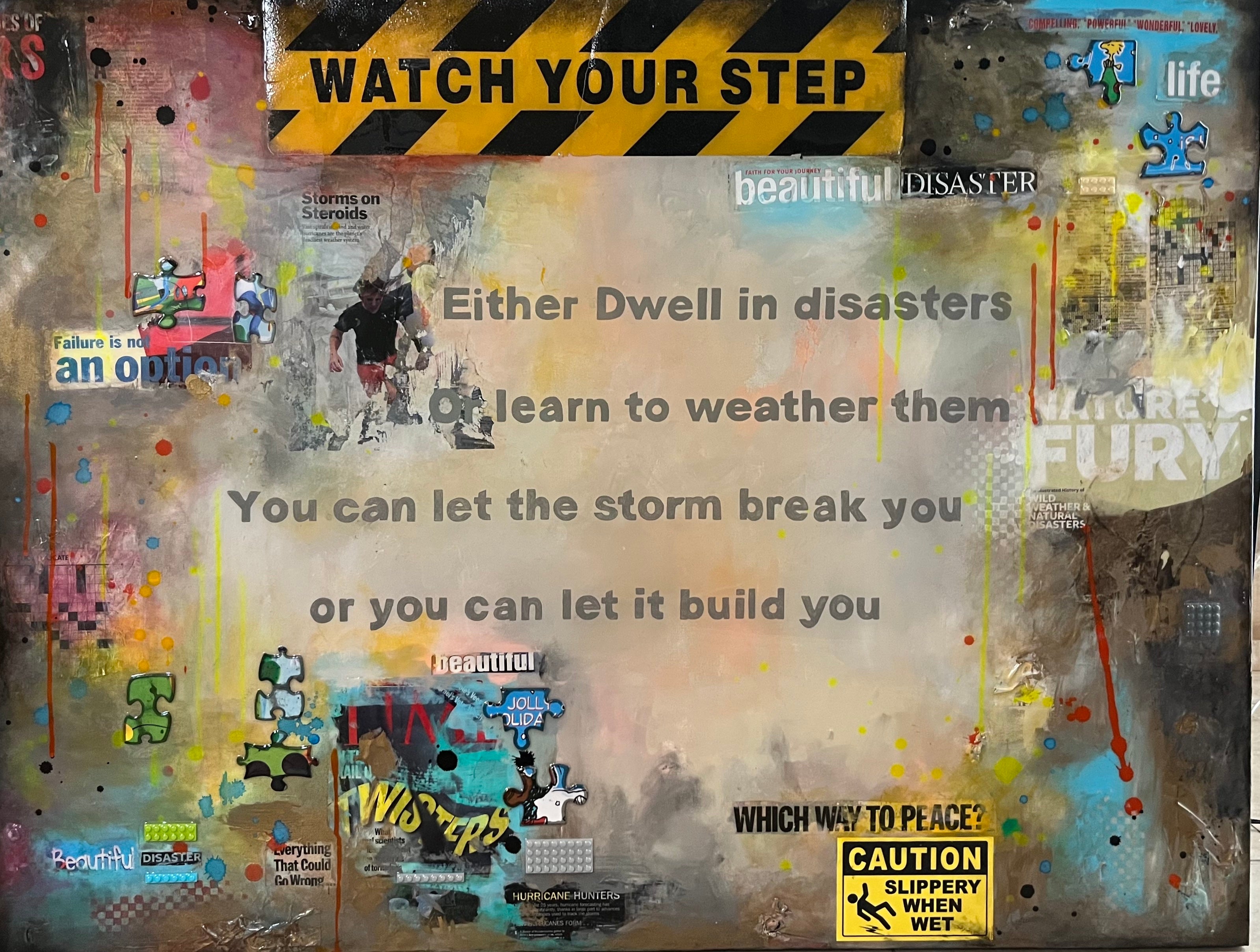 "Beautiful Disaster"