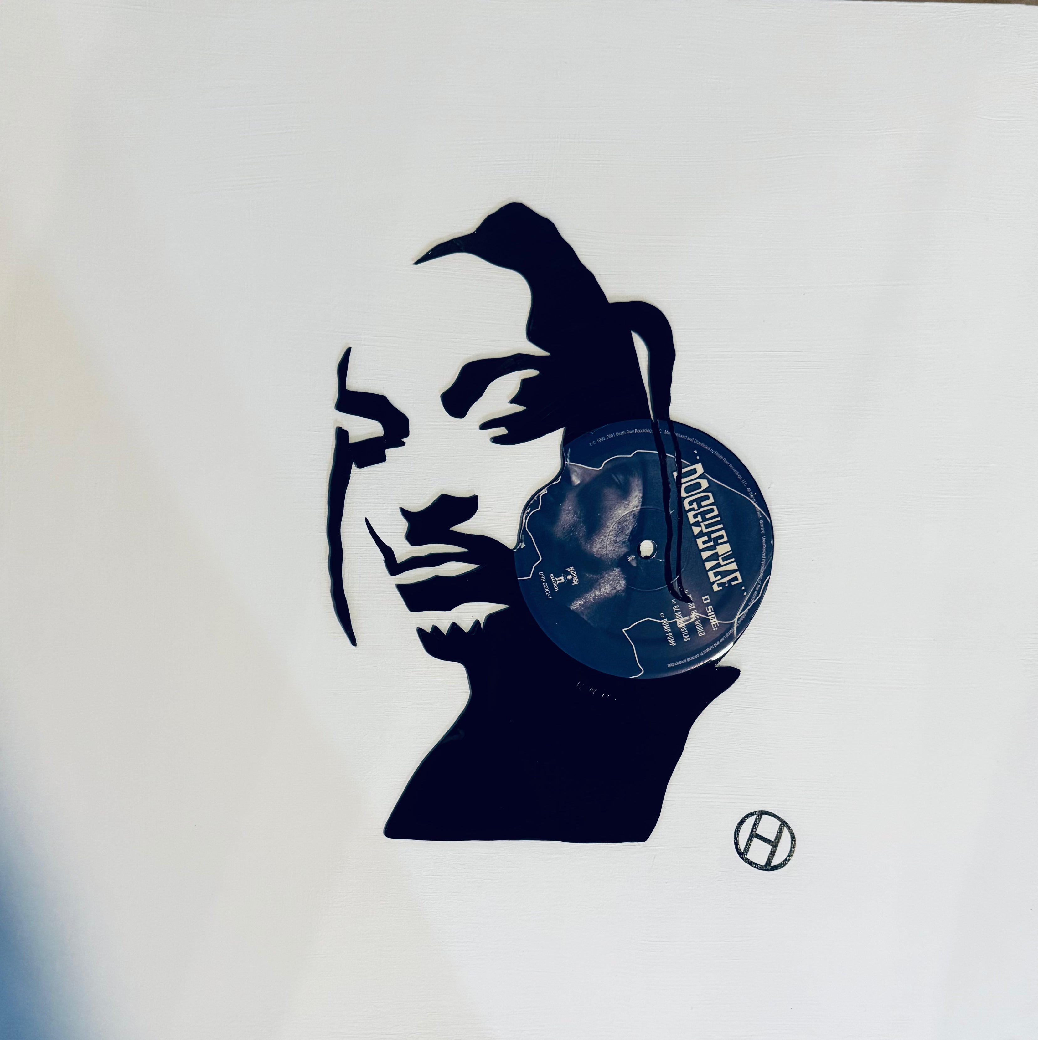 Framed Vinyl Record of "Snoop"
